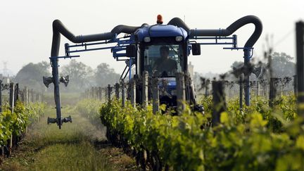 Un tractoriste traite les vignes avec&nbsp;un tracteur pulvérisateur de sulfate, le 24 mai 2012, à Macau,&nbsp;au nord de Bordeaux (Gironde). (Photo d'illustration) (JEAN-PIERRE MULLER / AFP)