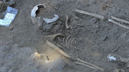 Une nécropole découverte à Ostia Antica (Italie), juillet 2014
 (ANDREAS SOLARO)