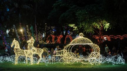 Illuinations dans les jardins botaniques de Durban en Afrique du Sud (RAJESH JANTILAL / AFP)