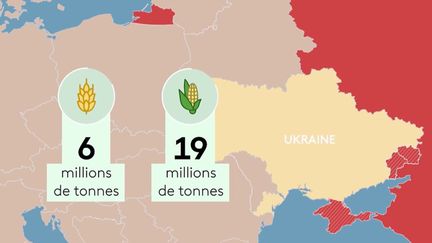 Les dégâts économiques de la guerre en Ukraine concernent en réalité le monde entier. Le conflit est susceptible de déstabiliser l'approvisionnement mondial en matières premières, notamment alimentaires. (FRANCE 2)