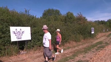 A Faulquemont (Moselle), le festival "Le climat" permet au public de découvrir en pleine nature quelques 150 photos. Un concept qui se développe petit à petit en France. (France 3)