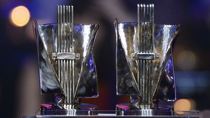 Trophée des Victoires de la musique. (BERTRAND GUAY / AFP)