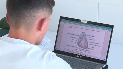 Santé : un stage obligatoire dans les déserts médicaux pour les étudiants en médecine (FRANCE 3)