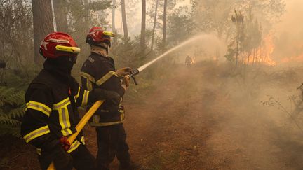 Incendie en sud Gironde le 18 juillet 2022 entre Louchats et Saint-Symphorien (CLAUDE PETIT / MAXPPP)