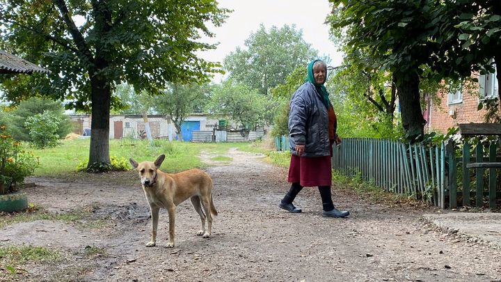 Ukraine : un village libéré où les gens peuvent de nouveau sortir librement.&nbsp;&nbsp; (BORIS LOUMAGNE / RADIO FRANCE)