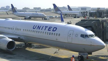 &nbsp; (La compagnie aérienne United Airlines dessert 235 destinations aux Etats Unis  © REUTERS |GARY HERSHORN)