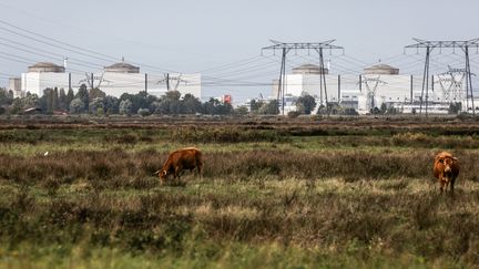 Une vue générale de la centrale nucléaire, le 22 octobre 2023, à Braud-et-Saint-Louis (Gironde). (THIBAUD MORITZ / AFP)