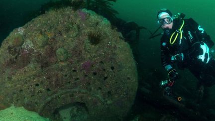 Le JT du 19/20 poursuit sa découverte de l'île d'Ouessant, dans le Finistère. Mardi 2 août, il s'intéresse aux nombreuses épaves qui sont autour de l'île. Celles-ci sont visitées par des plongeurs. (FRANCE 3)