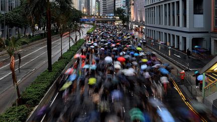 Des manifestants envahissent les rues d'Hong Kong pour réclamer plus de démocratie, dimanche 18 août 2019. (MANAN VATSYAYANA / AFP)