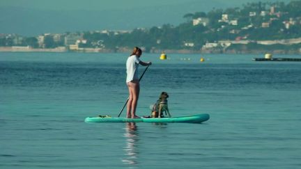 Vacances d'hiver : à Juan-les-Pins, le soleil radieux réjouit habitants et vacanciers