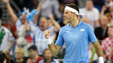 Juan Martin Del Potro combatif lors de la finale de la Coupe Davis contre la Croatie (- / AFP)