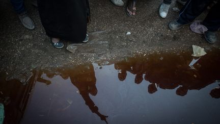 Des manifestant &agrave; Mansoura dans le nord de l'Egypte, le 24 d&eacute;cembre 2013. (PAN CHAOYUE / MAXPPP)