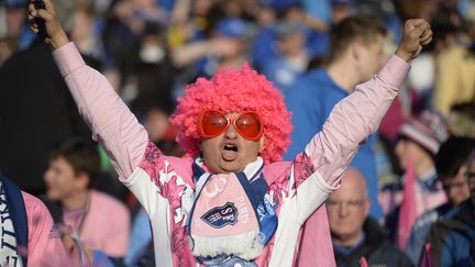 Un supporter du Stade fran&ccedil;ais lors d'un match contre le Leinster, le 17 mai 2013, &agrave; Dublin (Irlande).&nbsp; (LIONEL BONAVENTURE / AFP)