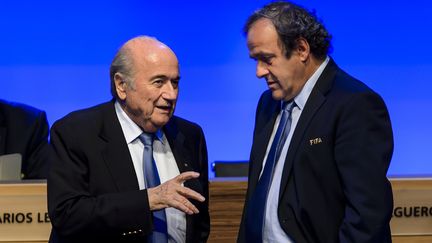 Le président de la Fifa, Sepp Blatter, et le président de l'UEFA, Michel Platini, le 11 juin 2014 à Sao Paulo (Brésil). (FABRICE COFFRINI / AFP)