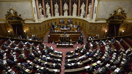 Manuel Valls s'exprime devant le Sénat, pendant un débat sur l'était d'urgence, le 20 novembre 2015. (ALAIN JOCARD / AFP)