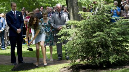 Sous le regard de son mari, le prince William, Kate Middleton participe &agrave; la c&eacute;r&eacute;monie de plantation d'un arbre &agrave; Ottawa (Canada), le 2 juillet 2011. (NATHAN DENETTE / AP / SIPA)