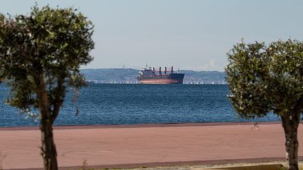 Un cargo en face du port de Thessalonique (Grèce) le 13 avril 2019, qui accueille de nombreux pétroliers. (NICOLAS ECONOMOU / NURPHOTO / AFP)