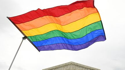 Le drapeau arc-en-ciel lors d'une manifestation pour les droits des LGBT+ à Washington (Etats-Unis), le 8 octobre 2019. (SAUL LOEB / AFP)