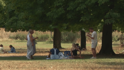 Canicule : les habitants de Lyon suffoquent (France 3)