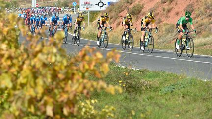 Primoz Roglic avec son maillot vert devant la meute de ses coéquipiers de la Jumbo-Visma sur la Vuelta 2020 (ANDER GILLENEA / AFP)