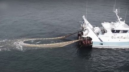 Pêche : dans la Manche, la technique de la "senne démersale" fait polémique