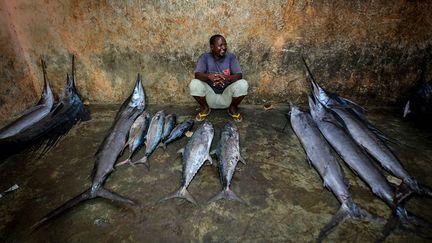 régler le problème de la surveillance des eaux territoriales où sévissent toujours pirates et pêcheurs illégaux. L’Organisation des Nations Unies pour l’alimentation et l’agriculture (FAO) estime que 800 navires étrangers pêchent pour une valeur marchande de 300 à 450 millions de dollars par an. Dans leurs filets, principalement du thon, des crevettes et des langoustes. Ces bateaux prélèvent en une nuit ce que les locaux attrapent en une année. (AFP PHOTO / AU-UN IST PHOTO / STUART PRICE)