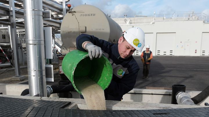 Un technicien verse du jus de choucroute dans une usine de traitement des eaux us&eacute;es, &agrave;&nbsp;Krautergersheim (Bas-Rhin), le 31 janvier 2013. (FREDERICK FLORIN / AFP)