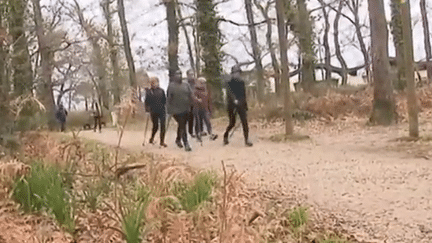 Santé : marcher pour aller mieux