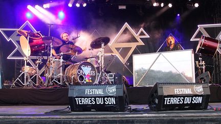 Le groupe Cats on trees, lors de son concert au festival Terres du son, en 2014. (LUDOCIV DUPRAZ / MAXPPP)