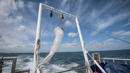 La mission océanique du CNRS "Apero" va réaliser des prélèvements au large de l'Irlande pendant 45 jours. Photo d'illustration. (MONTY RAKUSEN / DIGITAL VISION)