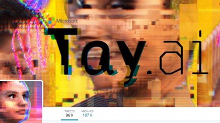 Capture d'écran du compte Tay.ai, le "chatrobot" conçu par Microsoft, le 25 mars 2016. (TAY.AI / MICROSOFT)