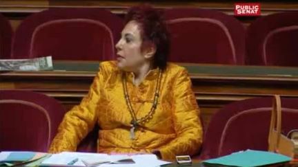 La s&eacute;natrice &eacute;cologiste Esther Benbassa au S&eacute;nat le 11 avril 2013.&nbsp; (PUBLIC SENAT)