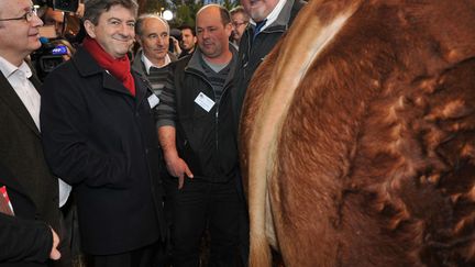 Le candidat du Front de gauche Jean-Luc M&eacute;lenchon en visite au Salon de l'agriculture &agrave; Paris, le 29 f&eacute;vrier 2012. (PASCAL LACHENAUD / MAXPPP)