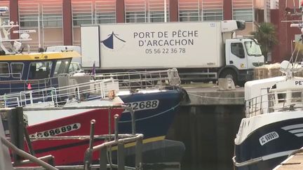 Gascogne : la colère des pêcheurs face à l’interdiction de la pêche dans le golfe (franceinfo)