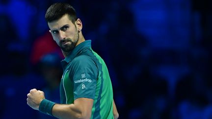 Novak Djokovic affrontait Carlos Alcaraz en demi-finales du Masters ATP, samedi 18 novembre 2023, à Turin (Italie). (TIZIANA FABI / AFP)