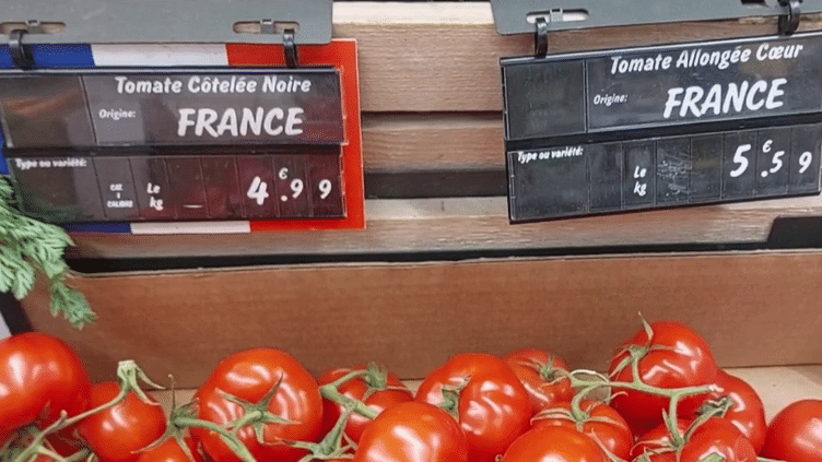 Alimentation : les producteurs de tomates en colère contre les prix pratiqués par la grande distribution