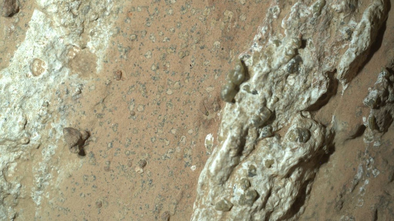 NASA's Mars rover rock samples may contain evidence of microbial life