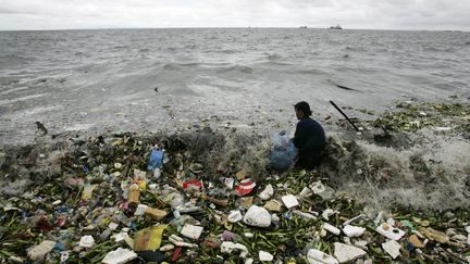 Un homme collecte des d&eacute;chets ramen&eacute;s par les vagues aux Philippines. (CHERYL RAVELO / REUTERS )