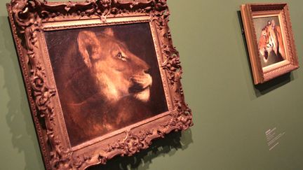 "Beaut&eacute; Animale" au Grand Palais &agrave; Paris, du 21 mars au 16 juillet 2012 &ndash; ouvert tous les jours sauf le mardi &ndash; entr&eacute;e 12 euros. (ELODIE DROUARD / FTVI)