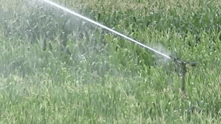 Sécheresse : 52 départements concernés par des restrictions d'eau