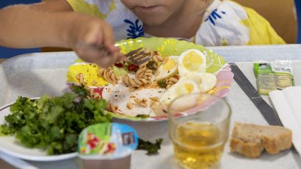 Les cantines scolaires doivent proposer 50% de produits dit "durable et de qualité", dont 20% de bio. (SPEICH FREDERIC / MAXPPP)