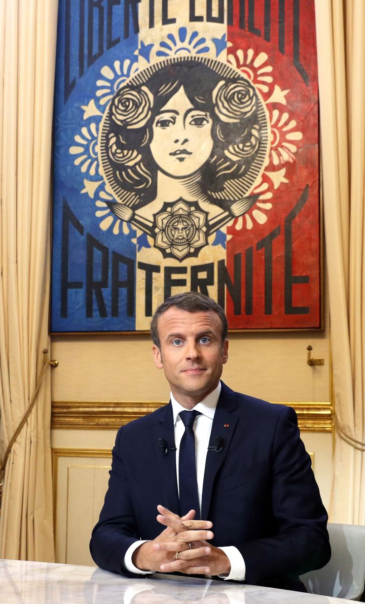 Au-dessus de la tête d'Emmanuel Macron, un tableau de Shepard Fairey. (PHILIPPE WOJAZER / POOL)