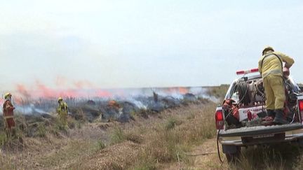 Argentine : la province de Corrientes ravagée par des incendies depuis plus d’un mois