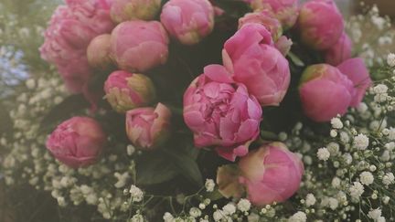 Fleurs : une hausse inédite du prix des pivoines