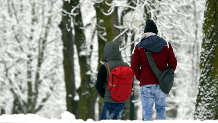 Des personnes marchent dans le parc de la Pépinière, à Nancy (Meurthe-et-Moselle), le 16 janvier 2017.&nbsp; (MAXPPP)