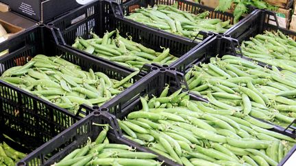 Parmi les produits Bonduelle contenant des ar&ocirc;mes d'origine animale, on compte les boites de conserve de haricots verts. (MAXPPP)