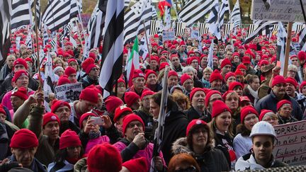 Manifestation de Bonnets rouges, le 30 novembre 2013, &agrave; Carhaix (Finist&egrave;re). (JOSÉ MARIA GIL PUCHO / CITIZENSIDE / AFP)