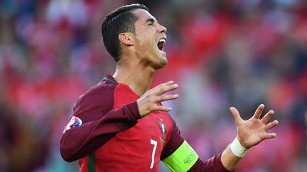 Le Portugais Cristiano Ronaldo, le 18 juin 2016 au Parc des Princes. (MUSTAFA YALCIN / ANADOLU AGENCY / AFP)