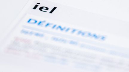 Le dictionnaire Robert fait entrer le pronon masuculin-féminin "iel" dans édition de 2021. (DAVID HIMBERT / HANS LUCAS)