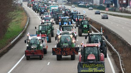 A demonstration of farmers with tractors on the A35, near Strasbourg, January 30, 2024. (FREDERICK FLORIN / AFP)